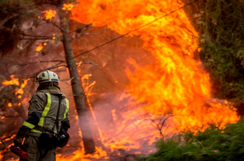 El incendio de Venta del Moro (Valéncia) avanza sin control y arrasa 800 hectáreas